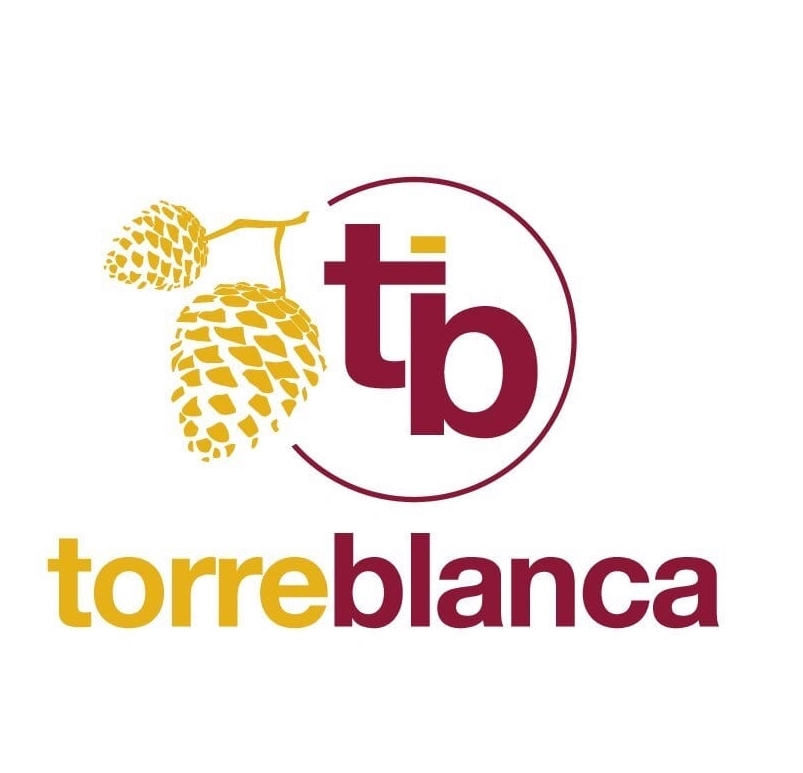 Hostal Torreblanca Logo Alojamiento Premium